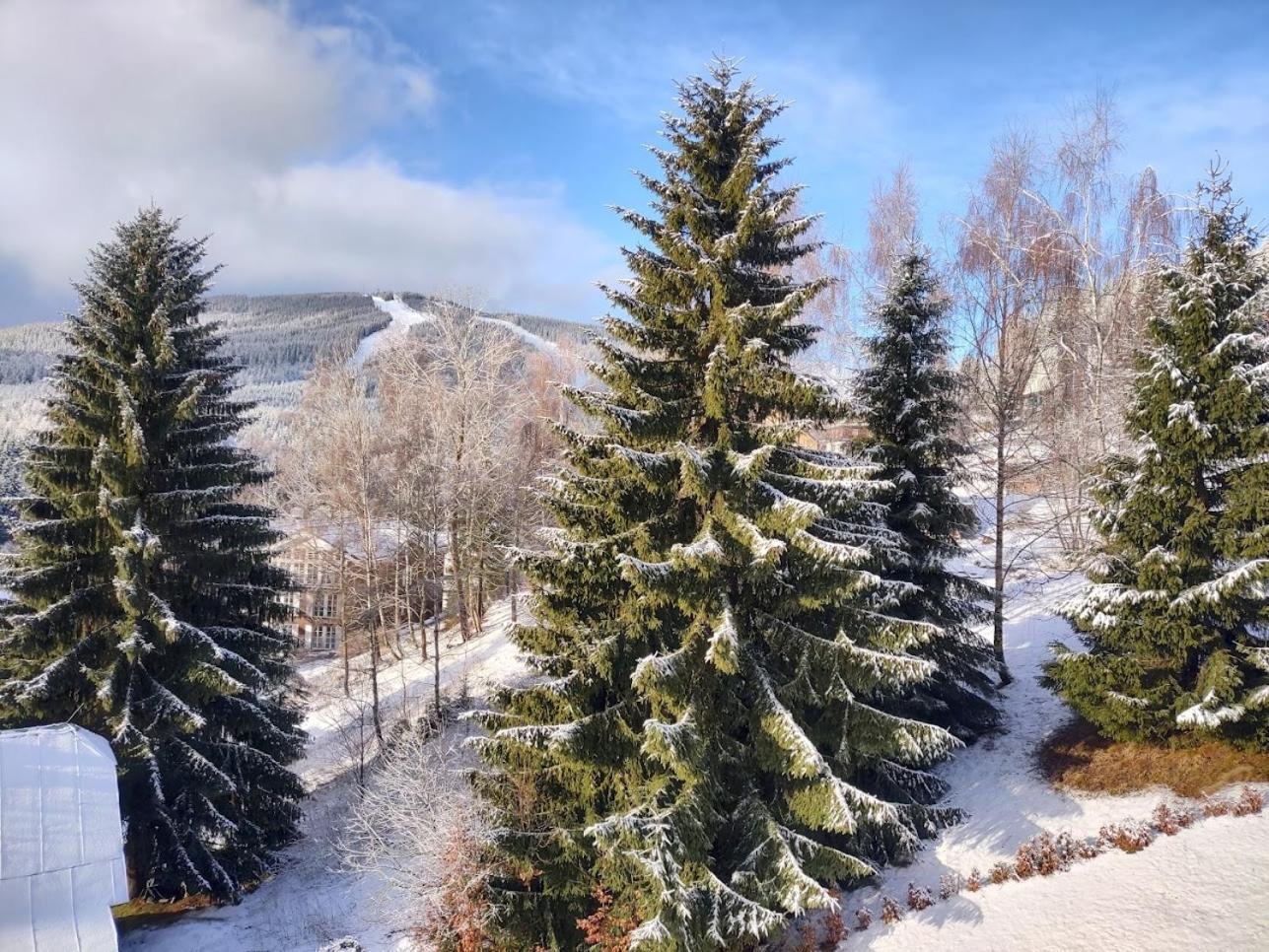 Pension Kubu Apartment 4 Samostatny Byt S Kuchyni Špindlerŭv Mlýn Buitenkant foto
